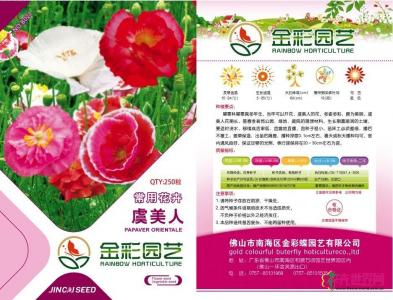 虞美人