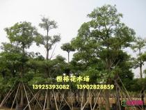 所有产品
